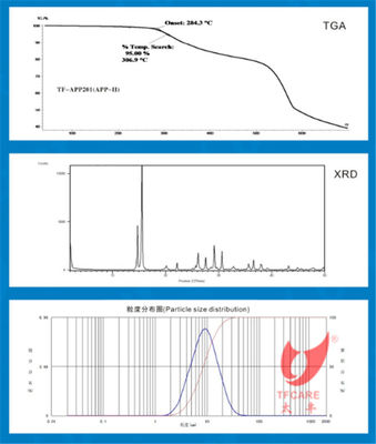 AP422 CROS484 Equal Type APP Phase 2
